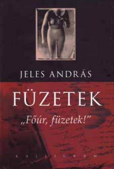 Füzetek