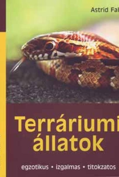 Terráriumi állatok