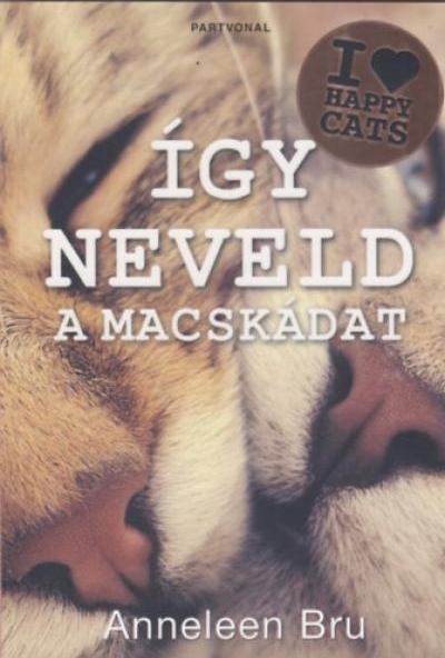 Így neveld a macskádat