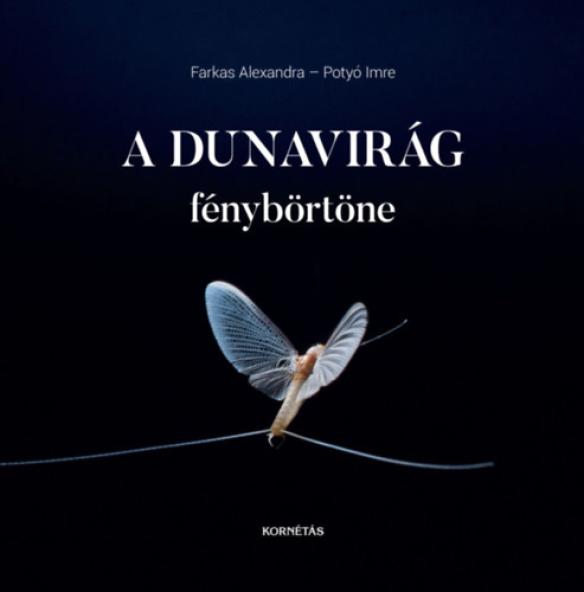 A Dunavirág fénybörtöne