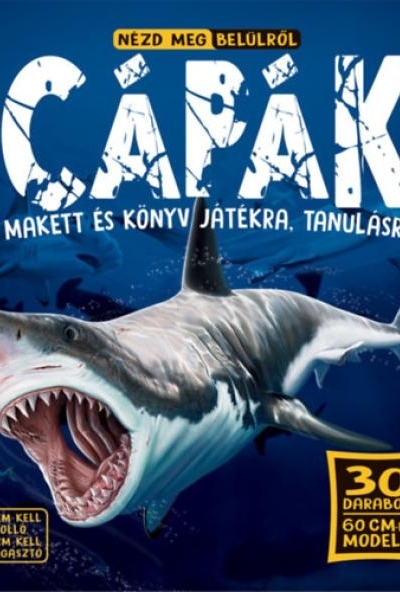 Nézd meg belülről - Cápák