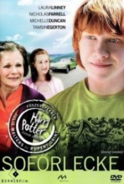 Sofőrlecke (DVD) *Antikvár - Kiváló állapotú*