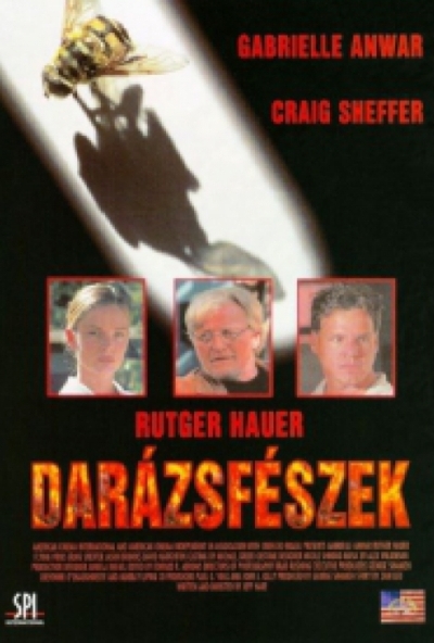 Darázsfészek (DVD) *Rutger Hauer - Antikvár - Kiváló állapotú*