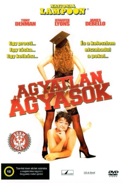 Agyatlan ágyasok (DVD) *Antikvár - Kiváló állapotú*