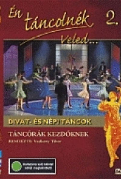 Én táncolnék veled..... 2. - Táncórák kezdőknek (DVD)  *Antikvár - Kiváló állapotú*