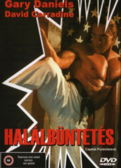 Halálbüntetés (1991) (DVD) *Gary Daniels - David Carradine - Antikvár - Kiváló állapotú*