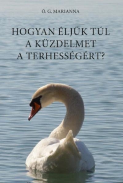 Hogyan éljük túl a küzdelmet a terhességért?