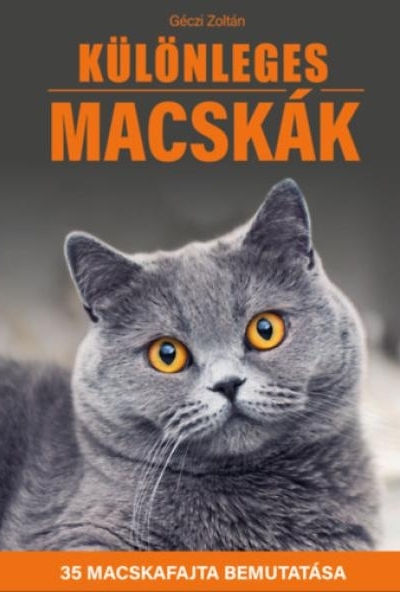 Különleges macskák