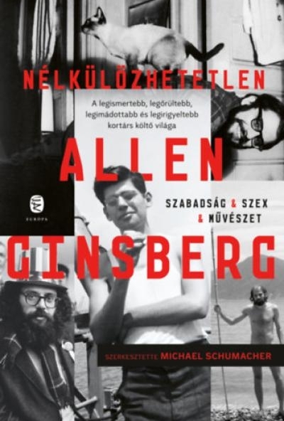 Nélkülözhetetlen Allen Ginsberg