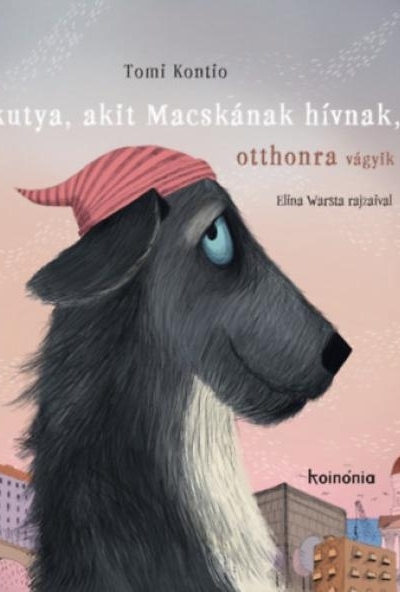 A kutya, akit Macskának hívnak, otthonra vágyik