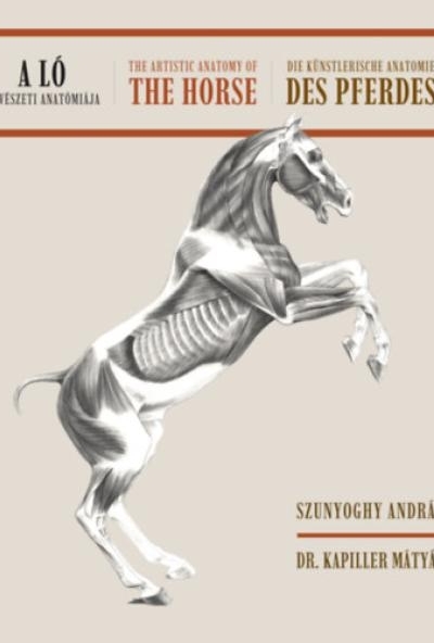 A ló művészeti anatómiája (Magyar-angol-német nyelvű)