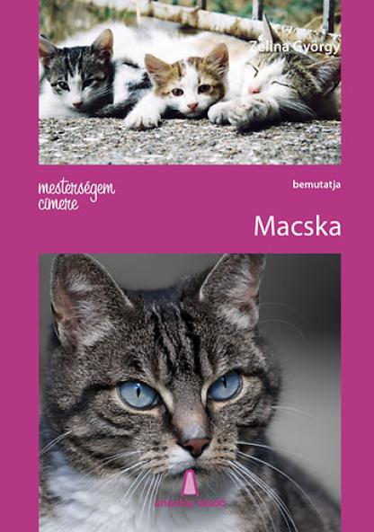 Mesterségem címere: Macska