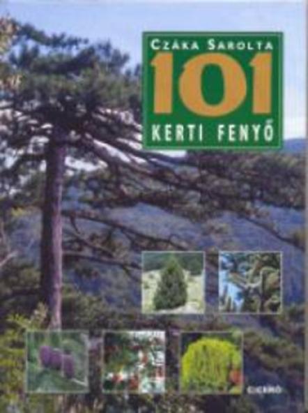 101 kerti fenyő