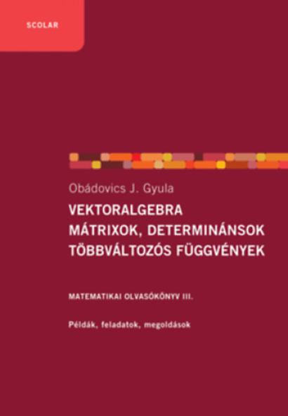 Vektoralgebra; mátrixok, determinánsok;  többváltozós függvények