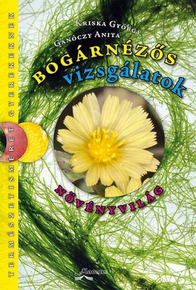 Bogárnézős vizsgálatok - Növényvilág