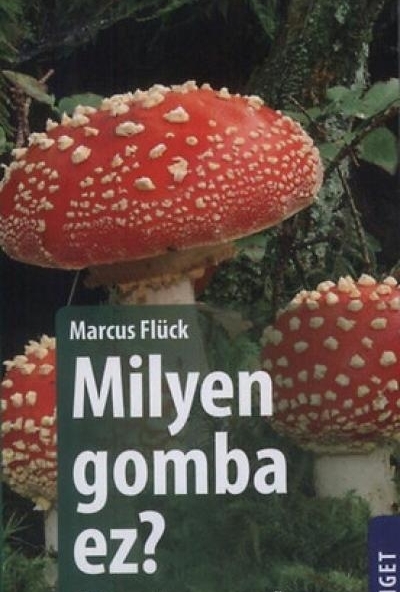 Milyen gomba ez?