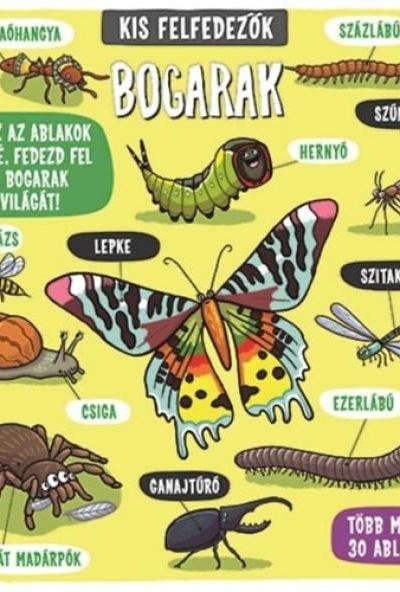 Kis felfedezők - Bogarak