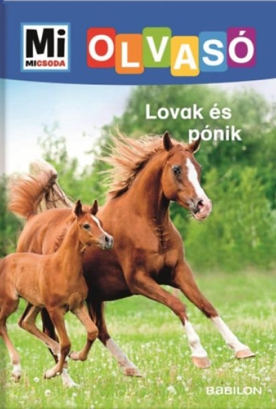 Lovak és pónik