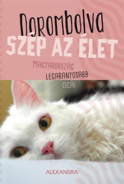 Dorombolva szép az élet - Magyarország legaranyosabb cicái