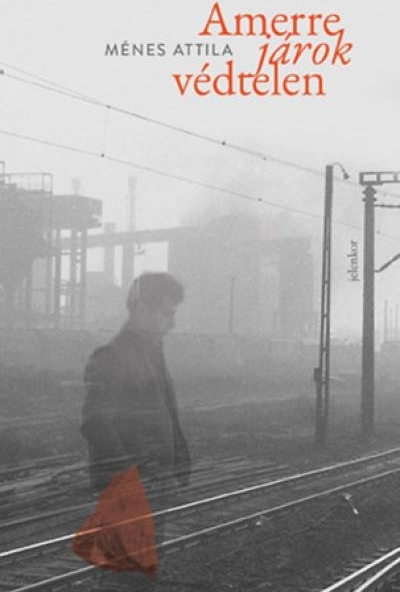 Amerre járok védtelen