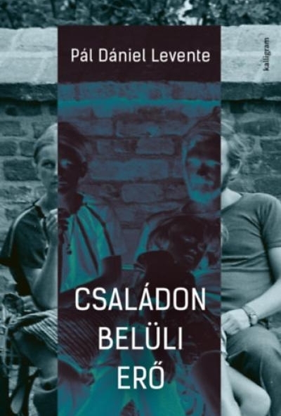 Családon belüli erő