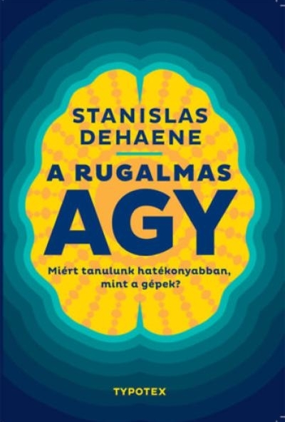 A rugalmas agy