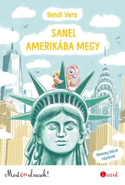 Sanel Amerikába megy