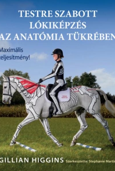 Testre szabott lókiképzés az anatómia tükrében