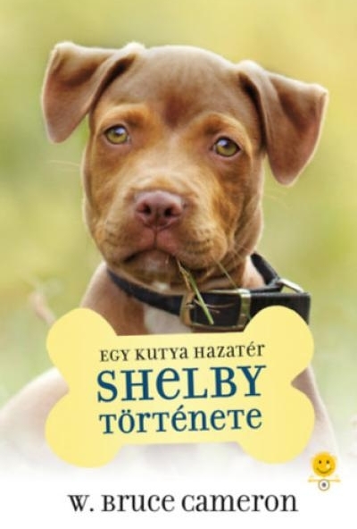 Egy kutya hazatér - Shelby története