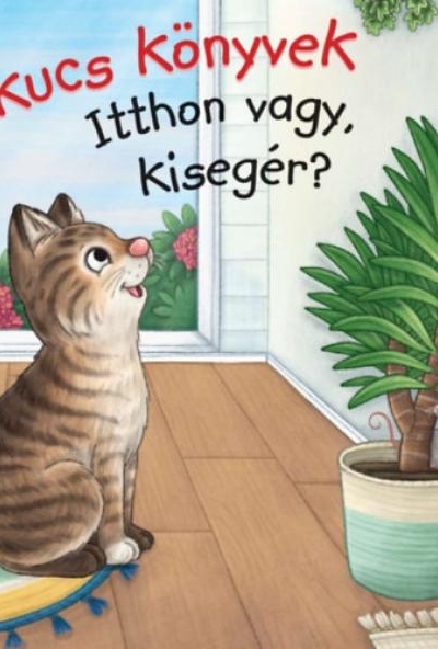 Kukucs Könyvek - Itthon vagy, kisegér?