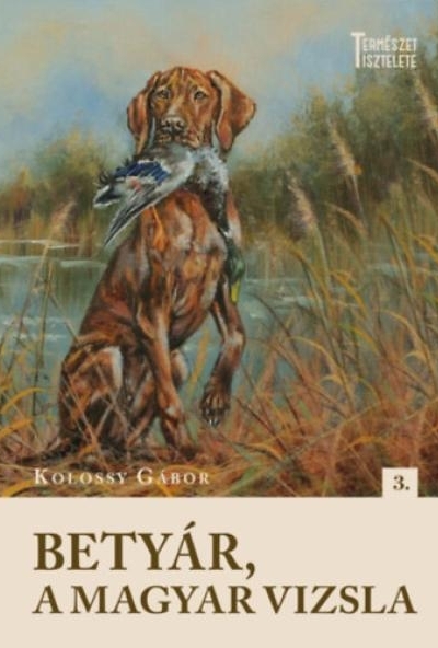 Betyár, a magyar vizsla
