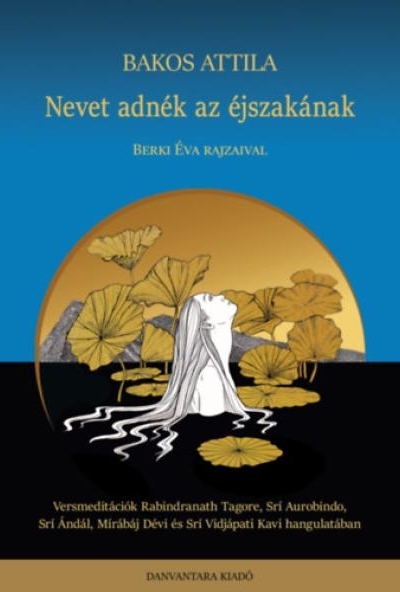 Nevet adnék az éjszakának