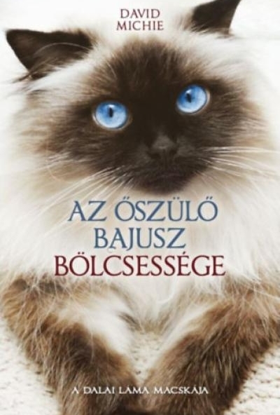 Az őszülő bajusz bölcsessége