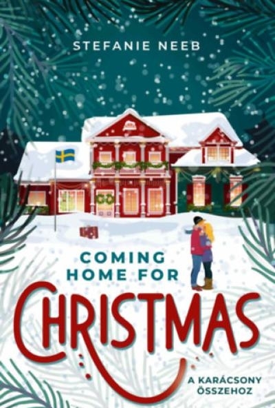 Coming Home For Christmas - A karácsony összehoz