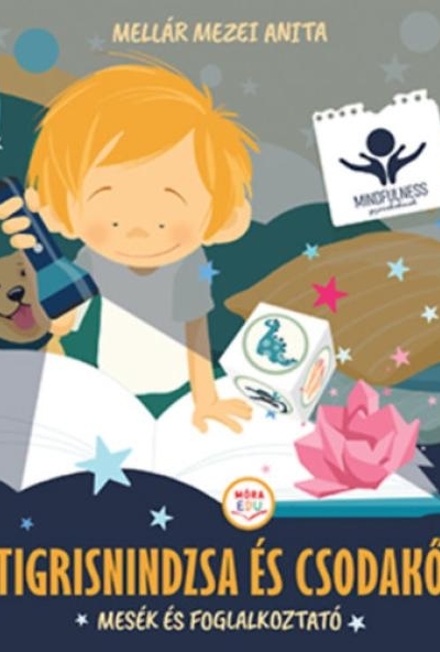 Tigrisnindzsa és csodakő