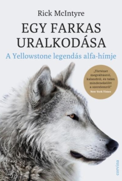 Egy farkas uralkodása