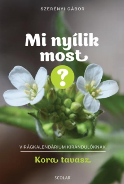 Mi nyílik most? - Kora tavasz