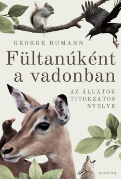 Fültanúként a vadonban
