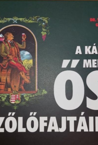 A Kárpát-medence ősi szőlőfajtáiról