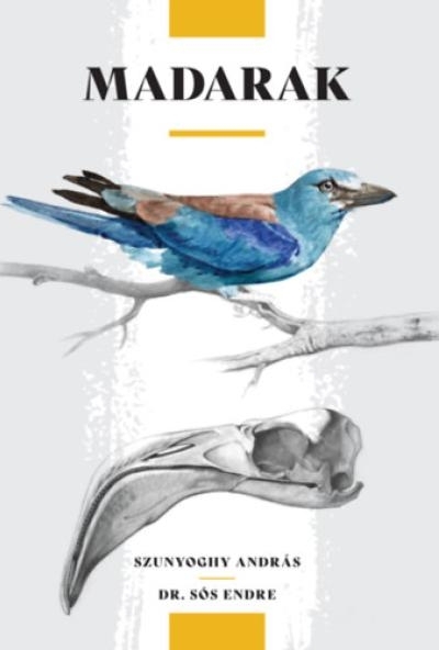 Madarak