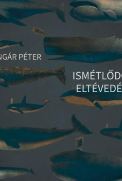 Ismétlődő eltévedés