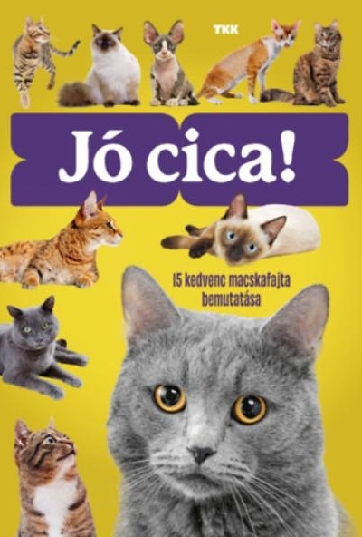 Jó cica!
