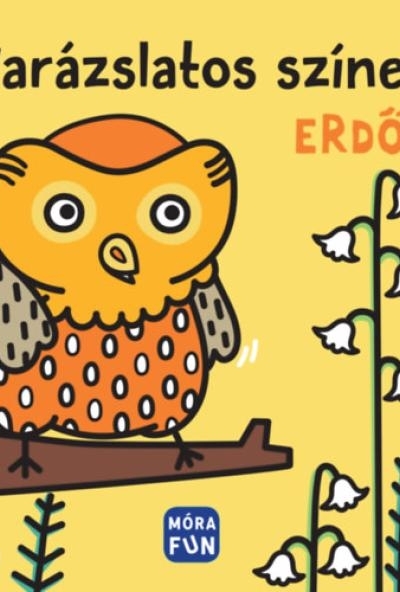 Varázslatos színek - Erdő