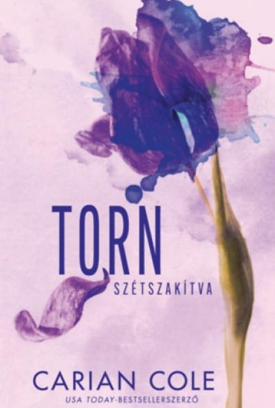 Torn - Szétszakítva