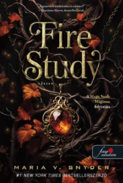 Fire Study - Tűztan
