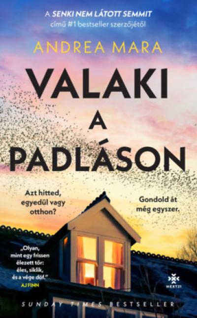 Valaki a padláson