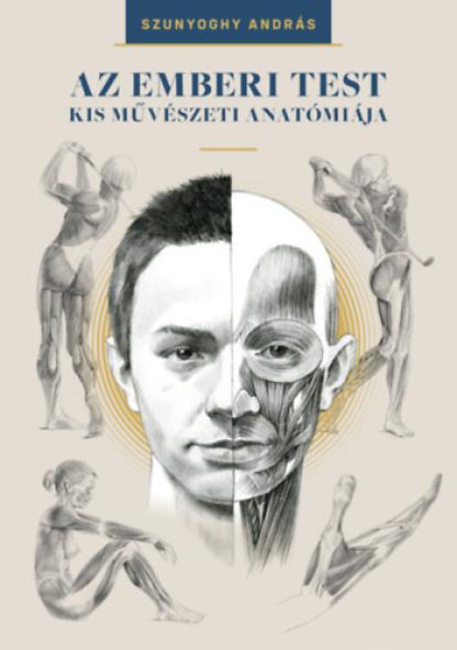Az emberi test kis művészeti anatómiája