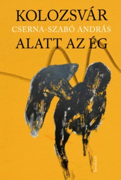 Kolozsvár alatt az ég