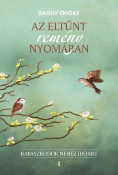 Az eltűnt remény nyomában