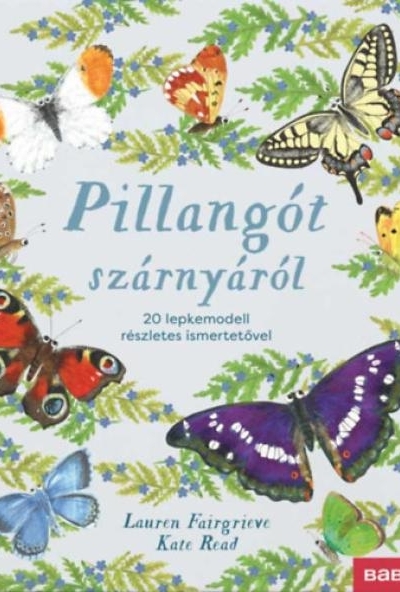 Pillangót szárnyáról